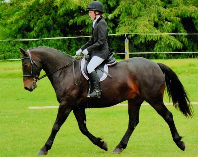 Screen shot 2015-07-13 at 13.35.49