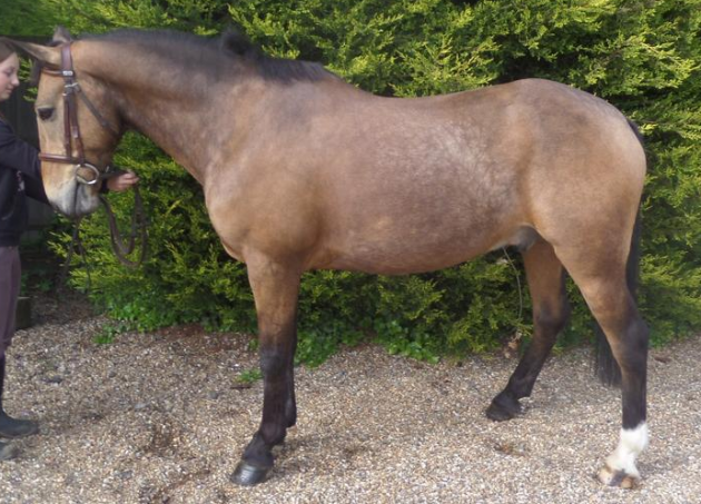 Screen shot 2015-07-13 at 14.26.20