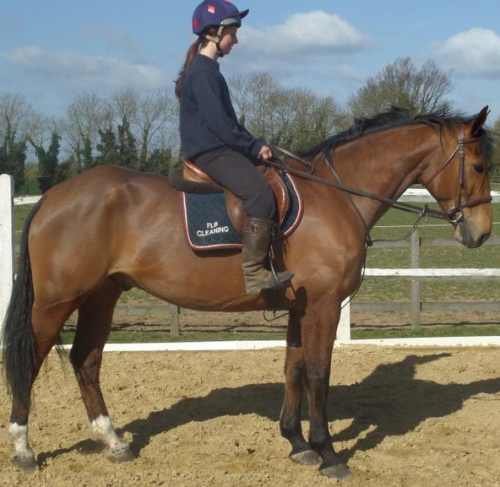 Screen shot 2015-07-13 at 14.43.07