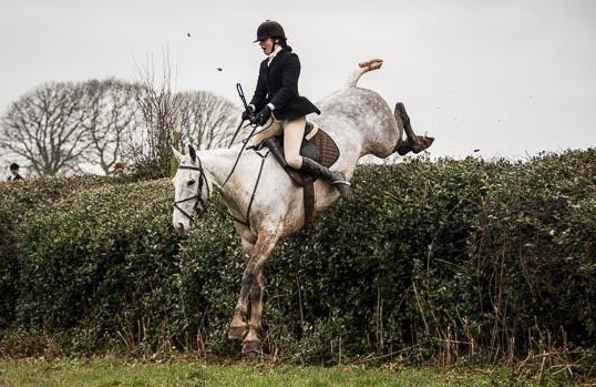 Screen shot 2015-07-27 at 13.45.28