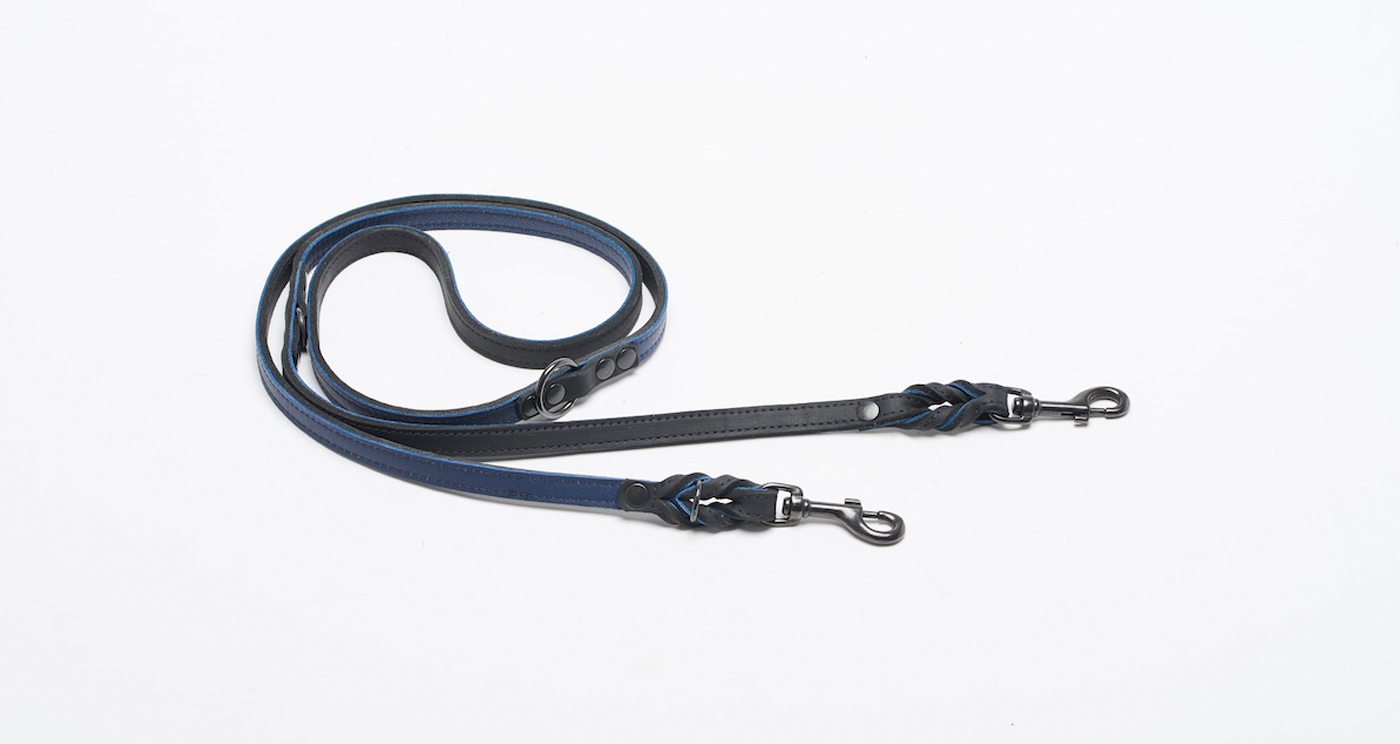 Snuggle-Dreamer-dog-leash-black-sky