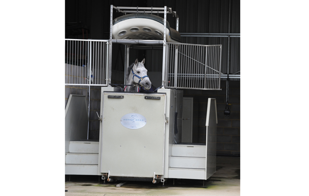 Piggy French on 02 06 2015