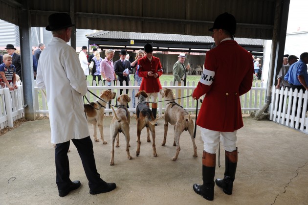 Peterb. Foxhound Show 22.07.15