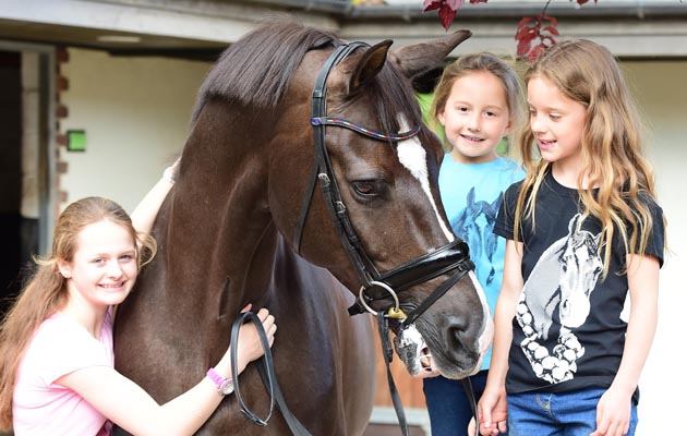 Valegro T shirts final