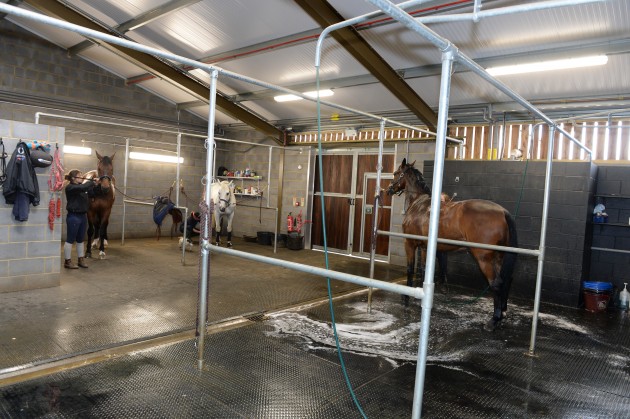 Piggy French on 02 06 2015