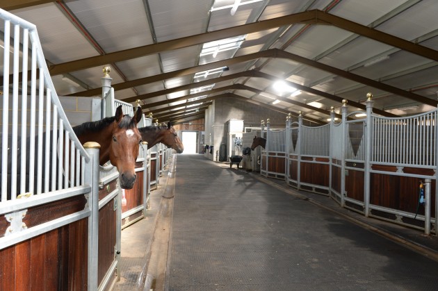 Piggy French on 02 06 2015