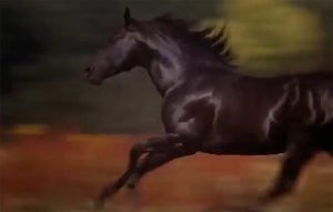 Horse movies: Black Beauty