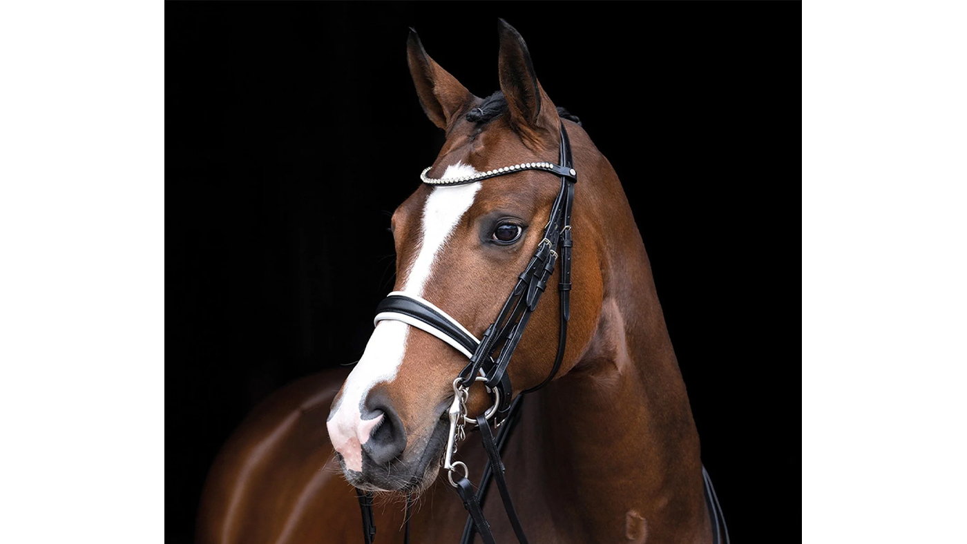 HKM Dina Double Bridle