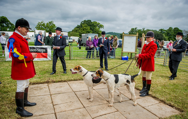 The Tiverton Staghounds win the doghound couples class with Rucksack & Rupert