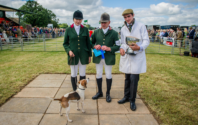 Honiton Hound show 2015-25