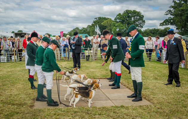 Honiton Hound show 2015-69