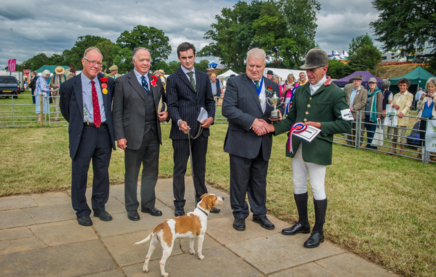 Presentation to the RAC for their beagle bitch champion Whipcream