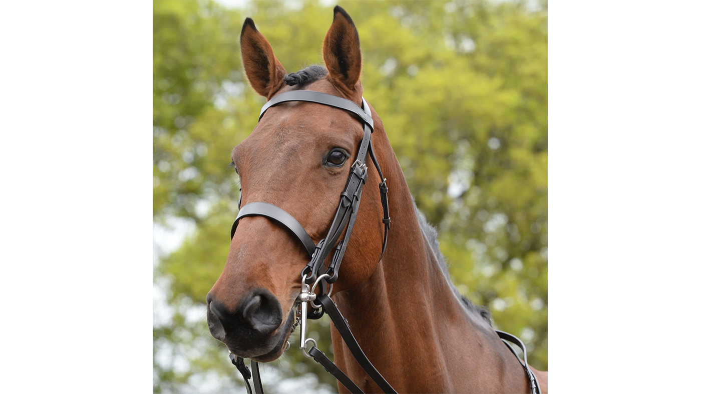 Kincade Show Weymouth Bridle 