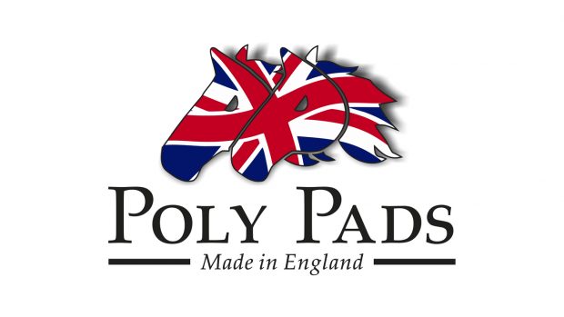 PoyPads-Logo-new-1400x788