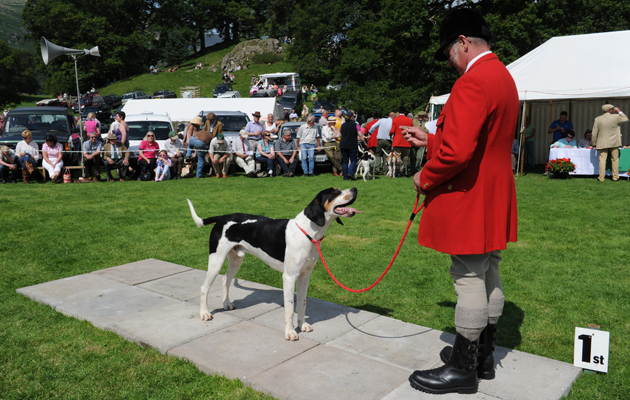 Rydal Hound Show 13.08.15