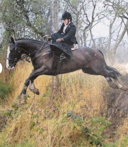 Screen shot 2015-08-03 at 13.05.58