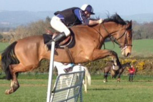 Screen shot 2015-08-03 at 13.11.24