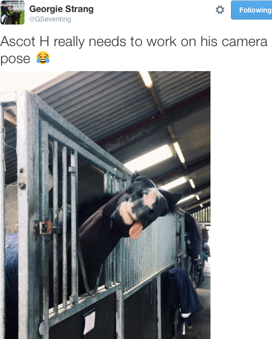 Screen shot 2015-08-07 at 13.19.20