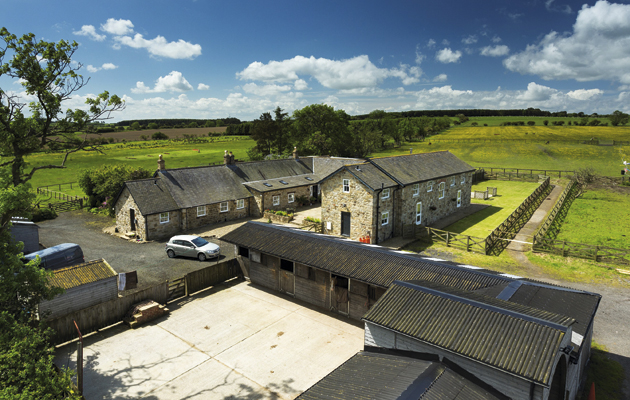 West Moor Farm WMF_DL_3423 (Custom)