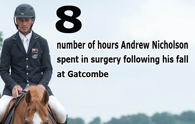 Andrew Nicholson at home