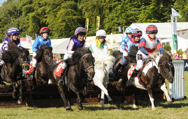 pony grand national at gatcombe park 8-8-15