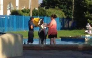 pony washed paddling pool