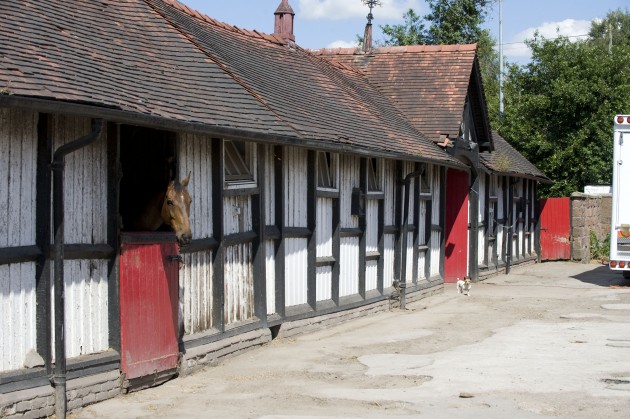 1 RW stable block