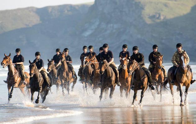 1535448_964320686964744_4835314986214831888_n