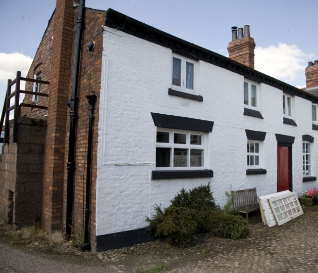 4 RW Game Cock stable