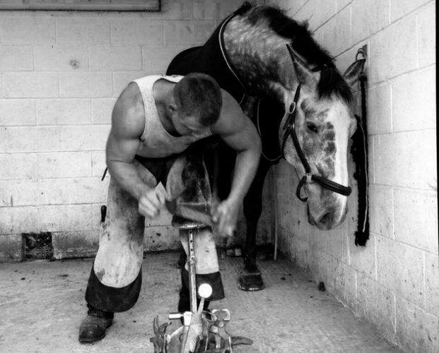 Are these Britain's fittest farriers? *PICTURES* Horse & Hound