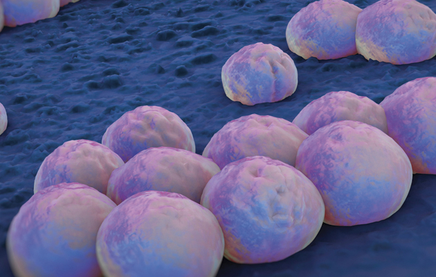 Clusters of 'superbug' (MRSA) bacteria