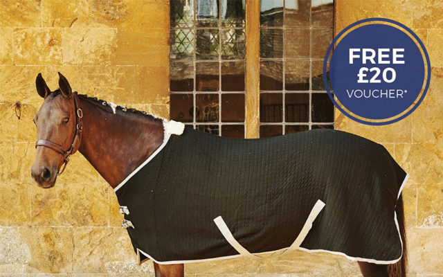 Derby-House-Elite-Cooler-Rug