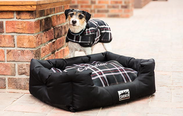 Eskadron’s Dog Bed