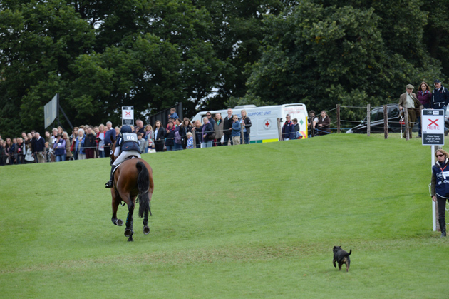 Burghley Horse Trials 05 09 2015