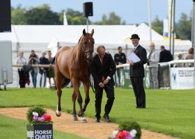 Michael Jung (GER) with LA BIOSTHETIQUE - SAM FBW, "Flying Low" during the 1st Vet check of The Land Rover Burghley Horse Trials near Stamford in Lincolnshire, UK, on 2nd September 2015
