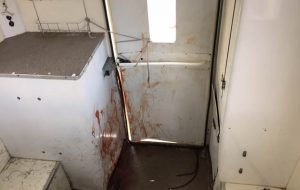 bloodhorseboxkrissy