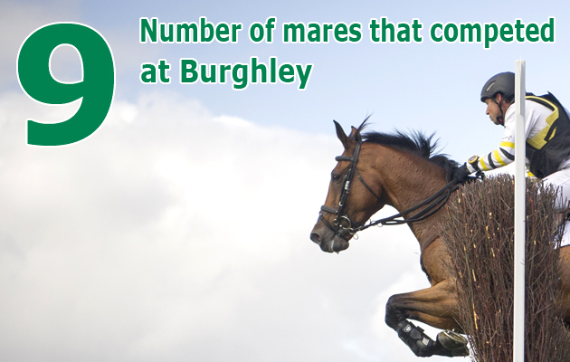 Burghley cross country 2015