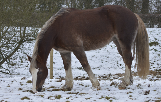 2 grazing to draw on4