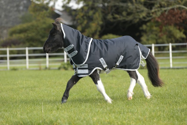 Amigo Hero 6 Petite Plus Turnout