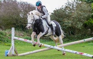 World Horse Welfare's rehomed horse of the year awards