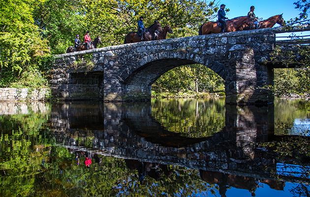 Dartmoor Derby - FREE Images but please credit