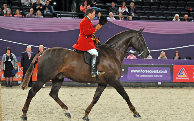 Rockefeller-1st-Heavyweight-Hunter-of-the-Year-ridden-by-Robert-Walker-and-owned-by-Joanne-Singfield