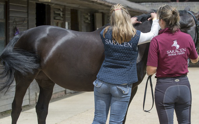 SARACEN_SPENCER_WILTON-36-crop-web-large