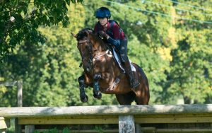 Saracen-20th-Oct-advertorial-lead-images
