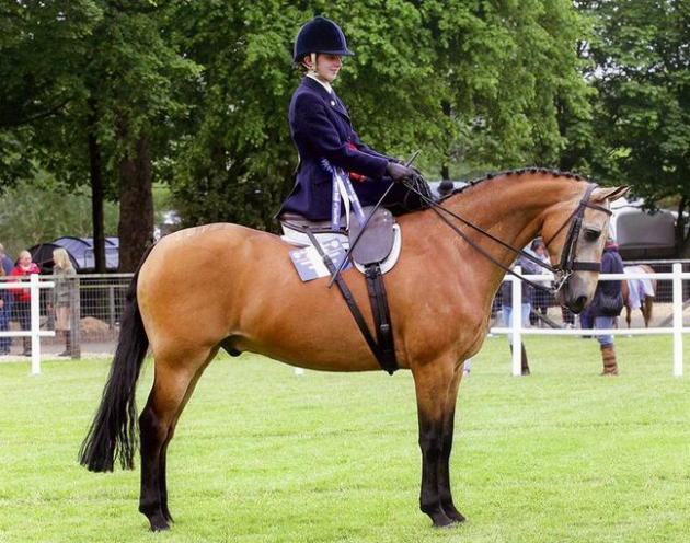 Screen Shot 2015-10-06 at 18.03.42