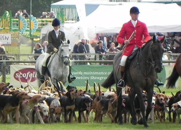 Screen Shot 2015-10-12 at 15.13.03