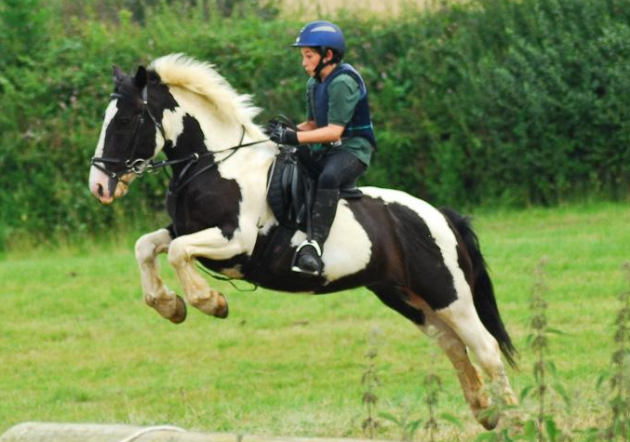 Screen Shot 2015-10-12 at 15.33.46