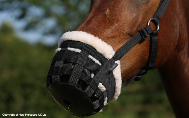 Spillers-Horse-mussell