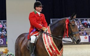 Starry-Night-1st-Maxi-Cob-of-the-Year-ridden-by-Robert-Walker-and-owned-by-Camilla-Neame