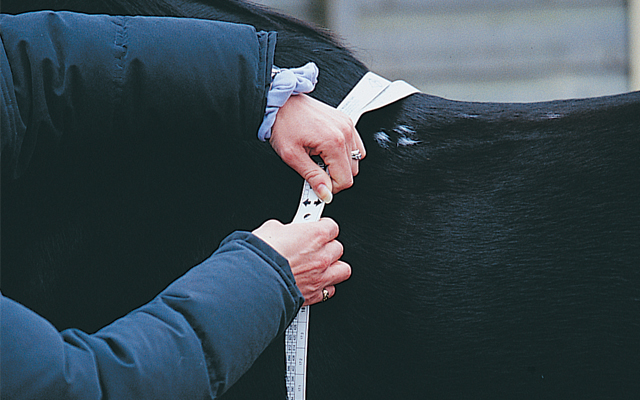 Top-tips-for-managing-your-veteran